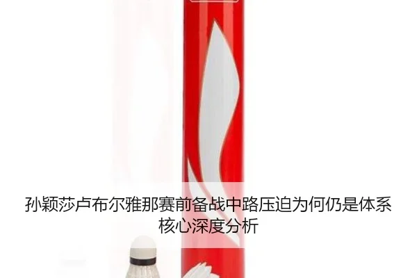 sun-ying-sha-lu-bu-er-ya-na-sai-qian-bei-zhan-zhong-lu-ya-po-wei-he-reng-shi-ti-xi-he-xin-shen-du-fen-xi-2-356.jpg