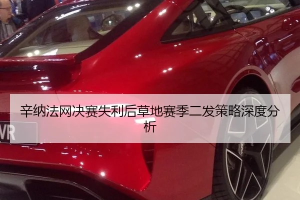 辛纳法网决赛失利后草地赛季二发策略深度分析